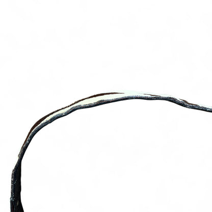 Céline Poulbot Cowhide Bag