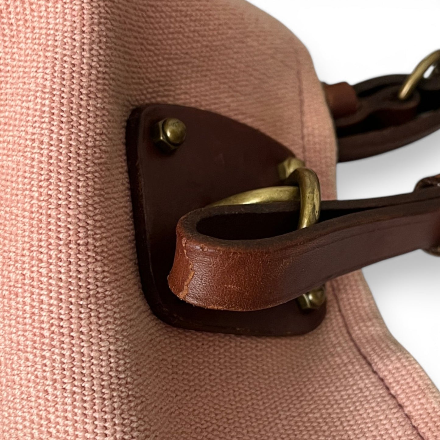 Bottega Veneta Canvas Tote